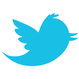 Twitter Alt 2 Icon 512x512 png